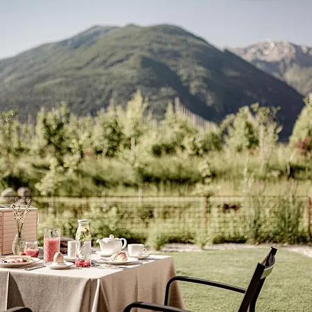 Amolaris Garden & Coldrano
